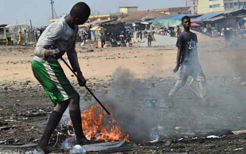 Cancer-causing Dioxins and PCBs Threaten the Food Supply and Human Health Globally