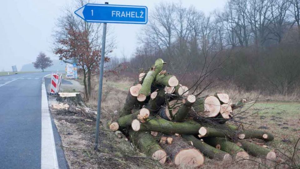 Za vykácení stromů na Jindřichohradecku hrozí silničářům pokuta
