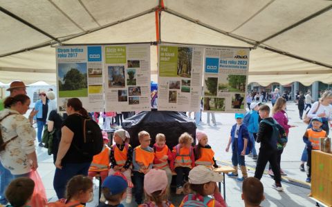 Den Země v Havířově se stromy