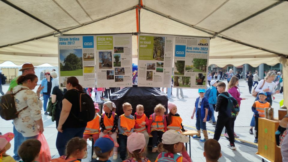 Den Země v Havířově se stromy