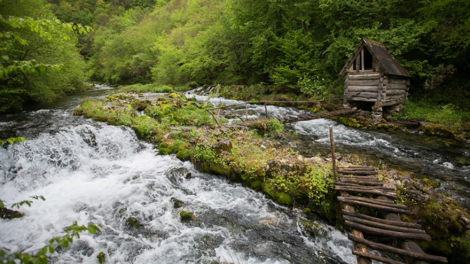 As one of the most biodiverse regions in Europe, Bosnia and Herzegovina has a unique opportunity to protect its natural heritage