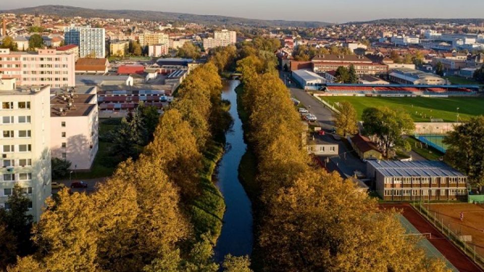 Alejí roku 2019 se stala památná alej u Rakovnického potoka