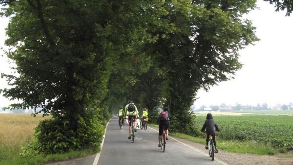 Cyklisté vyrazí z Přibyslavi na závod Tour de aleje a pomohou chránit stromy