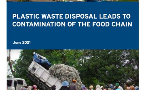 Plastic waste disposal leads to contamination of the food chain