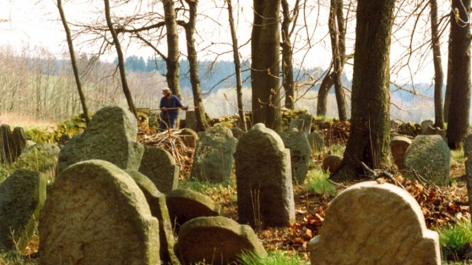 Židovský hřbitov Větrný Jeníkov - před kácením 