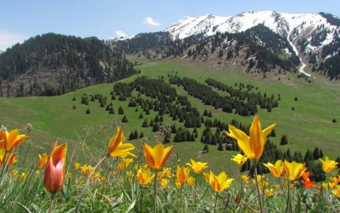 National park under threat