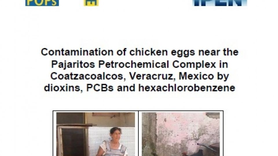 Contamination of chicken eggs near the Pajaritos Petrochemical Complex in Coatzacoalcos, Veracruz, Mexico