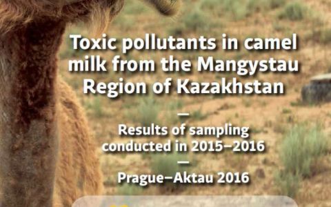 Toxic pollutants in camel milk from the Mangystau Region of Kazakhstan