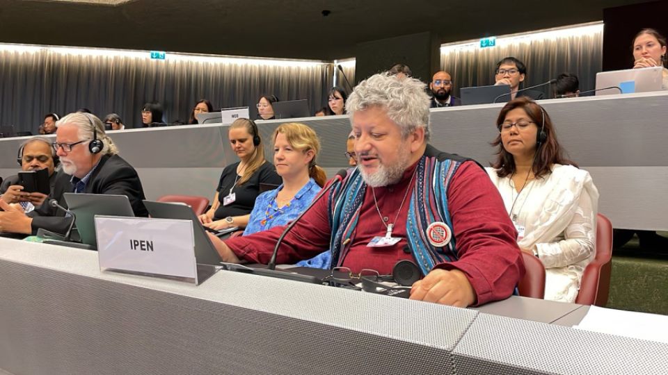 The main goal of the Stockholm Convention must be to protect health and the environment: the intervention of Jindřich Petrlík at the Stockholm Convention 2023 COP