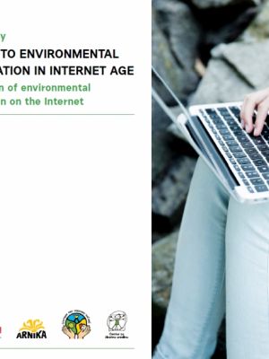 Access to Environmental Information in the Internet Age