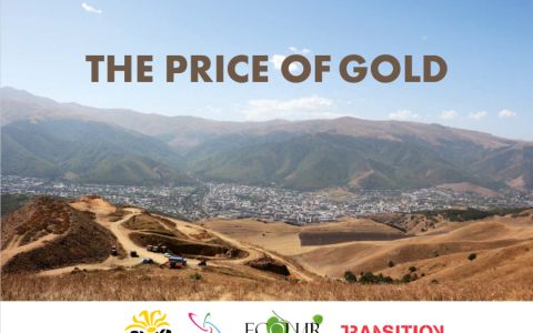 THE PRICE OF GOLD: How gold mining affects pollution with heavy metals in Armenia