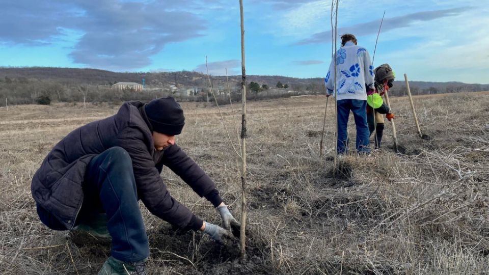 Volunteers planted trees along the banks to protect watercourses in Moldova