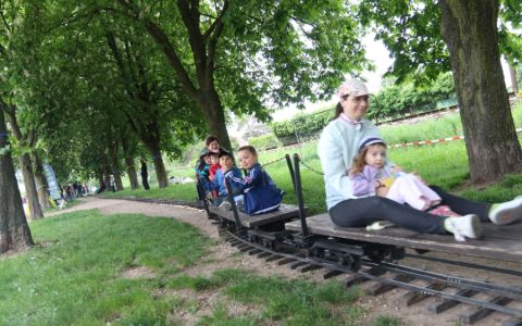 Arnika odkrývá karty. Lidé se mohou podívat, jak si vede jejich oblíbená alej v anketě Alej roku 2025