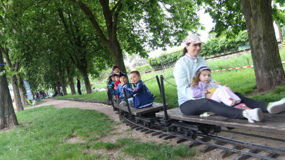 Arnika odkrývá karty. Lidé se mohou podívat, jak si vede jejich oblíbená alej v anketě Alej roku 2025