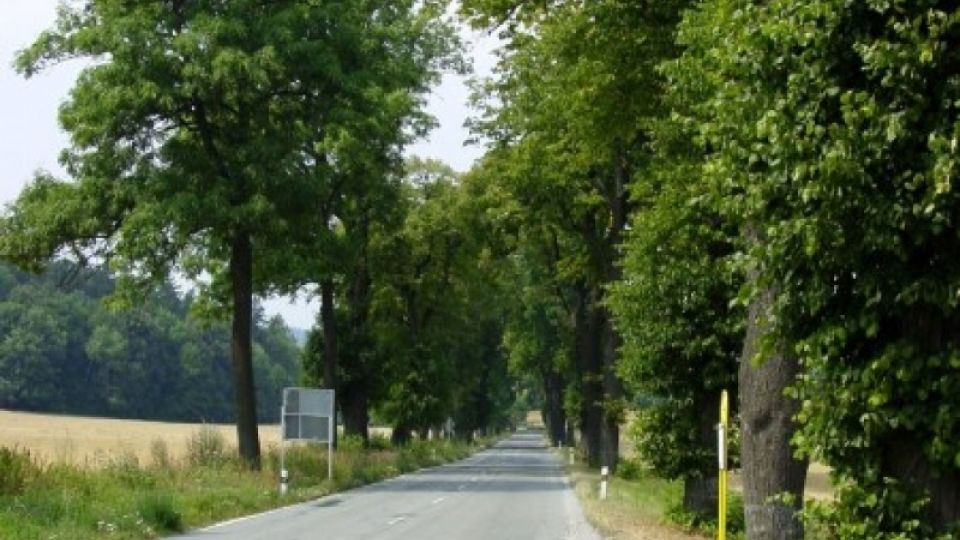 The Avenue of the Year connects Jedovnice with Lazanky in Moravsky Kras