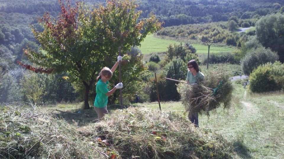 Dobrovolníci o víkendu posečou louku pod Lipskou horou, aby pomohli ohroženým rostlinám