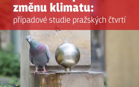 Lokální adaptace na změnu klimatu: případové studie pražských čtvrtí