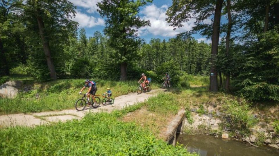 Cyklojízda Tour de aleje v Poodří za ochranu stromů startuje už tuto sobotu