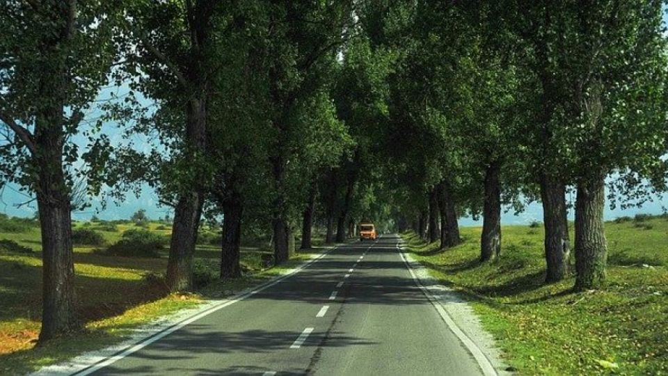 Vykácením stromů u silnic nehodovost nesnížíme. Účinnější je prevence rizikového chování řidičů