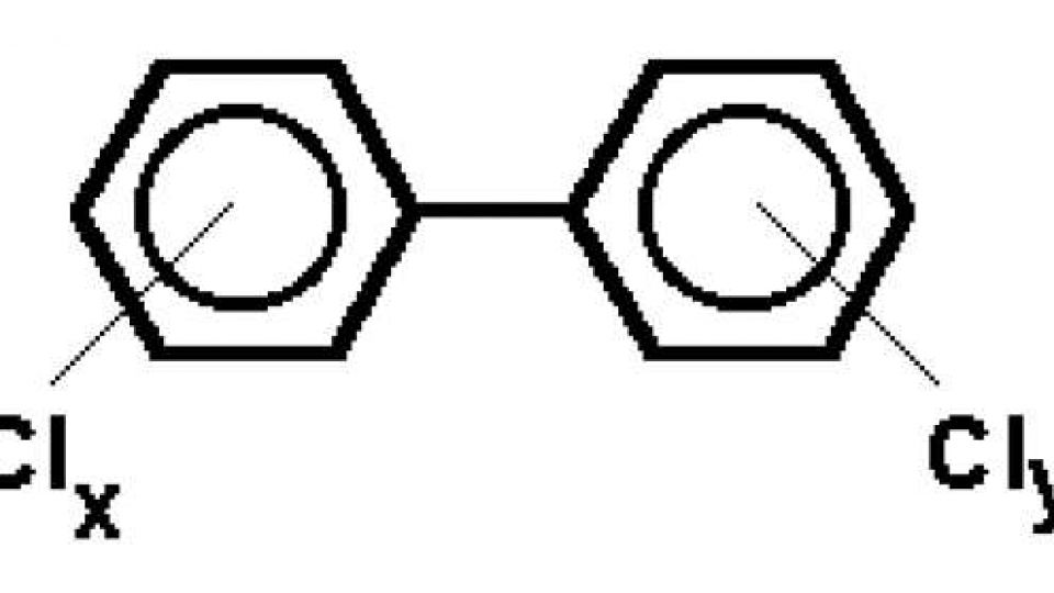 polychlorované bifenyly (PCB)