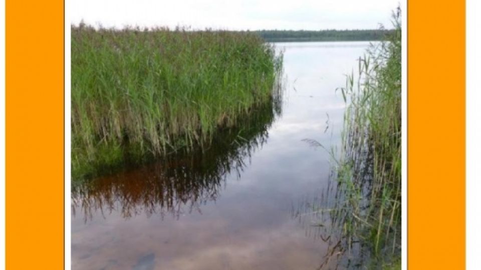Environmental monitoring in Belarus - Sampling Report