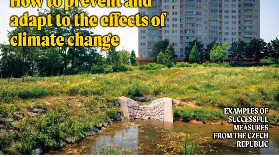 How to prevent and adapt to the effects of climate change