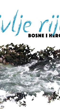 Wild Rivers of Bosnia and Herzegovina