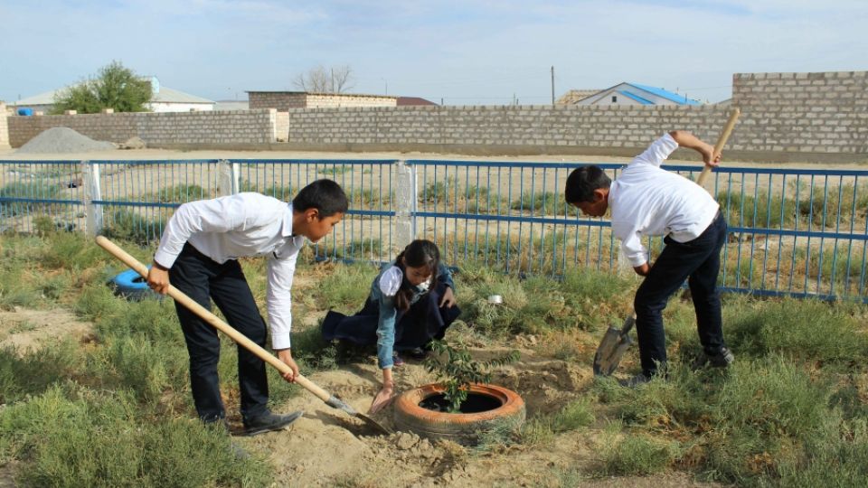 Planting the trees in Shetpe school yard