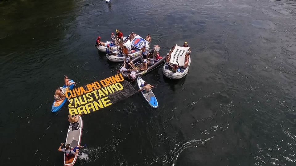 Huchen protesting at Drina regatta