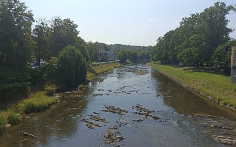 Unikátní úsek řeky Olše je ohrožen necitlivými zásahy správce toku. Arnika žádá zastavení této činnosti