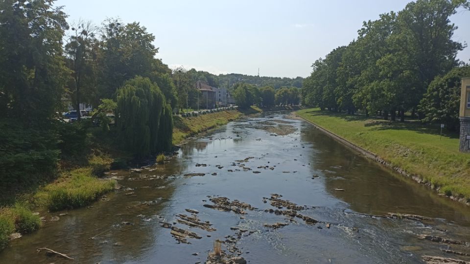 Unikátní úsek řeky Olše je ohrožen necitlivými zásahy správce toku. Arnika žádá zastavení této činnosti