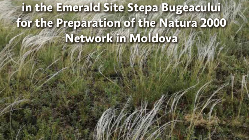 Report on Plant Pilot Mapping in the Emerald Site Stepa Bugeacului for the Preparation of the Natura 2000 Network in Moldova