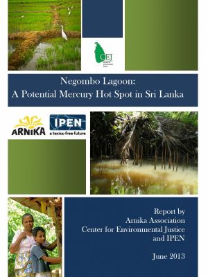 Negombo Lagoon: A Potential Mercury Hot Spot in Sri Lanka