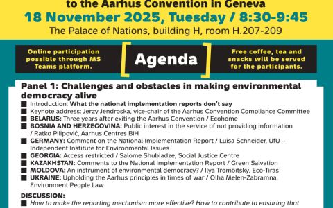 The Aarhus Convetion on the ground: Implementation and adaptation of the principles of environmental democracy