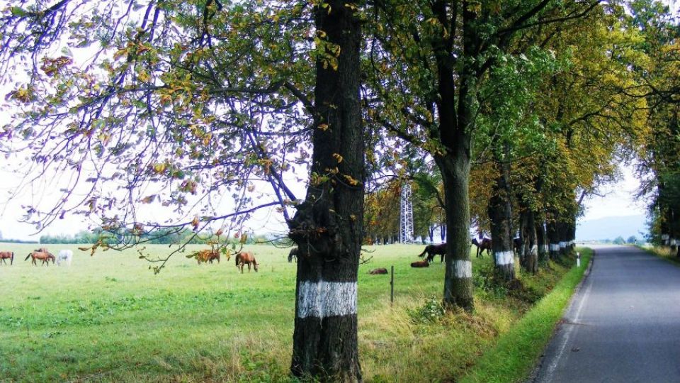 Seminář o krajinném rázu a ochraně přírody ve Zlíně