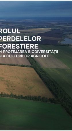 Rolul perdelelor forestiere în protejarea biodiversității și a culturilor agricole