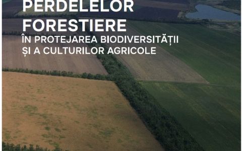 Rolul perdelelor forestiere în protejarea biodiversității și a culturilor agricole