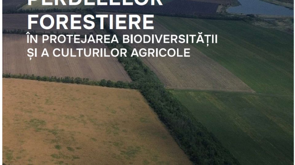 Rolul perdelelor forestiere în protejarea biodiversității și a culturilor agricole