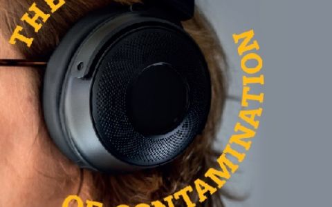 The Sound of Contamination: A Comprehensive Analysis of Endocrine Disruptors and Hazardous Additives in the Headphones