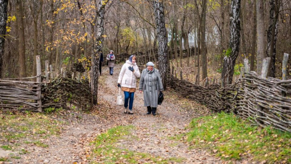 By planting “green belts”, Moldovans adapt to climate change