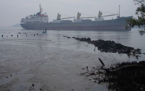 Thai activists sue the government for insufficient activity against PM2.5 pollution