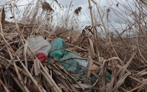 Skutečný osud vytříděných PET lahví a další novinky v nakládání s odpady