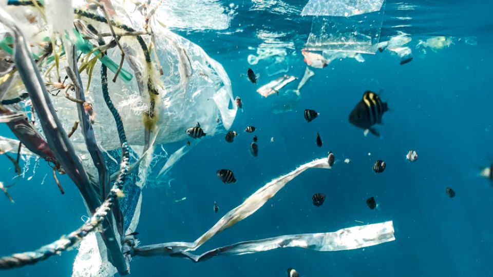 Governments set a cornerstone for a new plastic  treaty