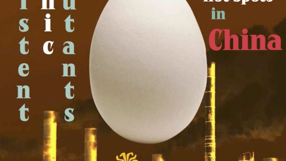POPs in Chicken Eggs from Hotspots in China