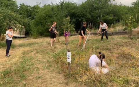 Monitoring květnatých luk potvrdil jejich význam pro podporu biodiverzity