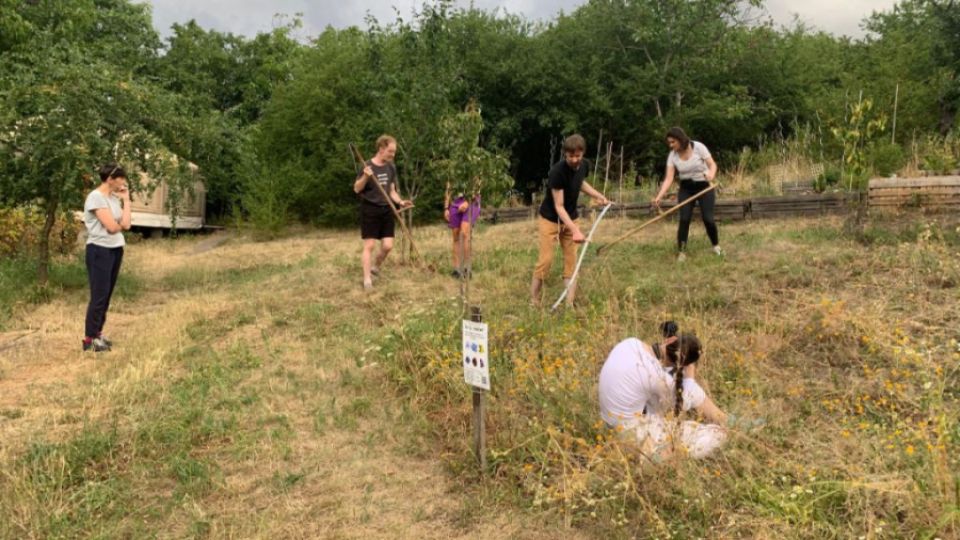 Monitoring květnatých luk potvrdil jejich význam pro podporu biodiverzity