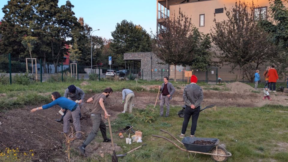 Výsev květnaté louky - Žižkovská komunitní zahrádka