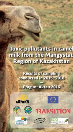 Toxic pollutants in camel milk from the Mangystau Region of Kazakhstan