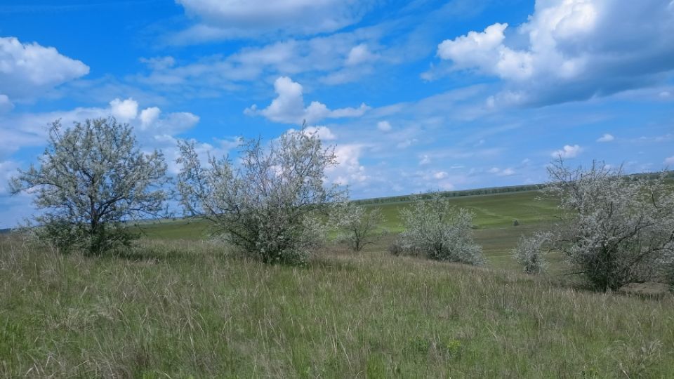 Šest let environmentální práce v Podněstří