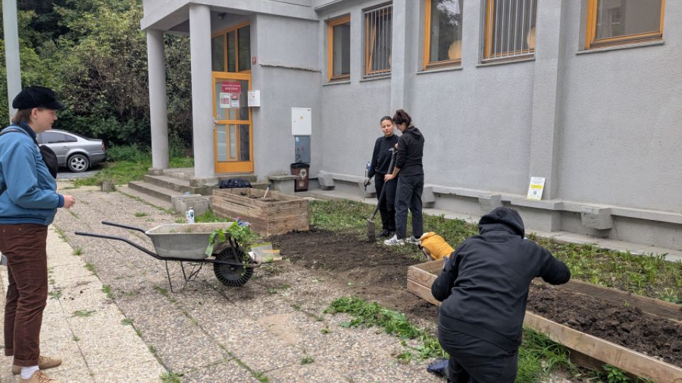 Výsev květnaté louky - komunitní zahrada u KC Jako Doma